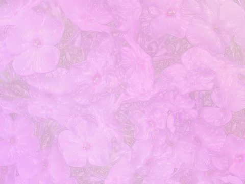 Background pink Stock Photos