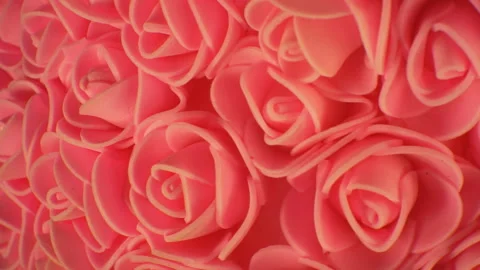Background of pink roses. Camera movement from left to right. Stock Footage 107767439