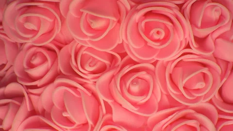 Background of pink roses. Camera movement from bottom to top. Stock Footage 107767539