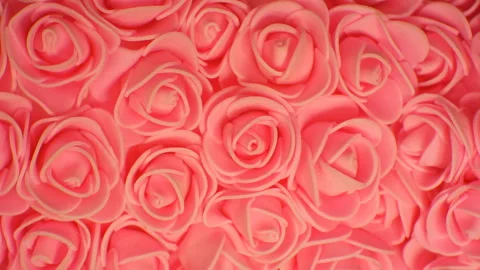 Background of pink roses. Camera movement is clockwise. Stock Footage 107767602