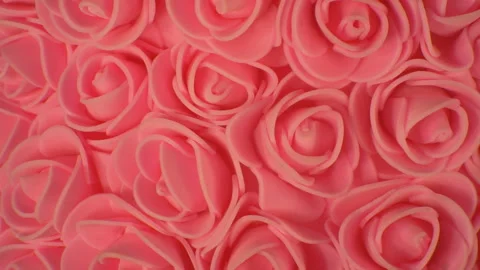 Background of pink roses. Camera movement from right to left. Stock Footage 107767626