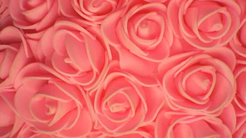 Background of pink roses. Camera movement from top to bottom. Stock Footage 107768232