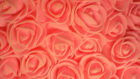 Background of pink roses. The movement of the camera in different directions. Stock Footage 107768171