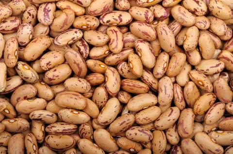 Background of pinto beans Stock Photos