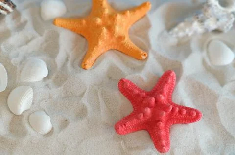 Background place for sunscreen Selective focus, Colors of life in the deep .. Stock Photos