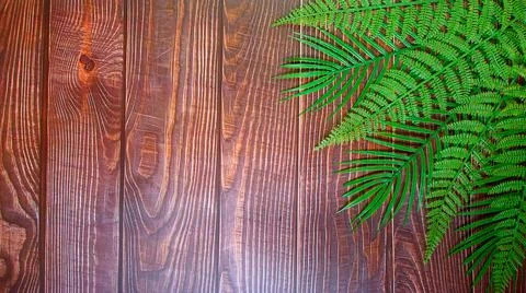 The background of the plank showing the wood pattern and cracks in the wood i Stock Photos