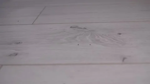 Background Planks with a pattern of sawn wood covered with white paint. Stock Footage 236195762