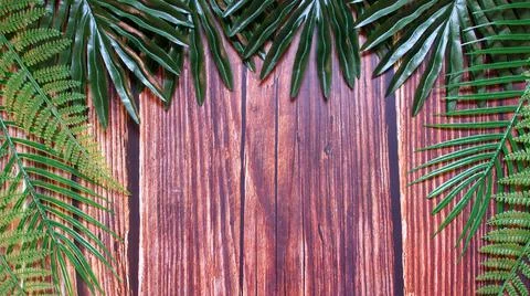 The background of the planks shows the wood pattern and cracks in the wood ad Stock Photos