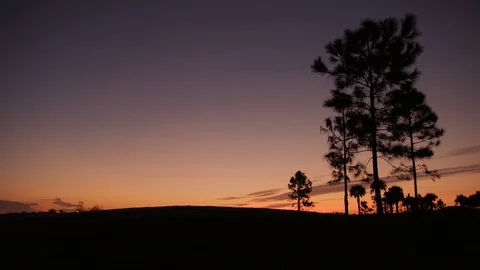 Background Plate of Sunrise with tree silhoutted Stock Footage 94660331