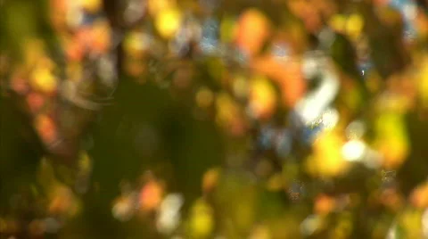 Background. Playing with blurring-1 Video stock 524831