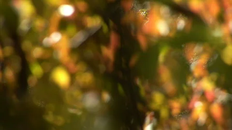 Background. Playing with blurring Stock Footage 524823