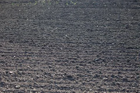 Background as a plowed field Stock Photos