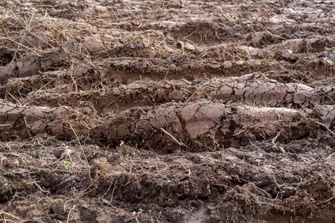 Background of plowed land Stock Photos