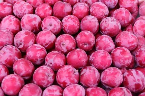 Background plum Stock Photos