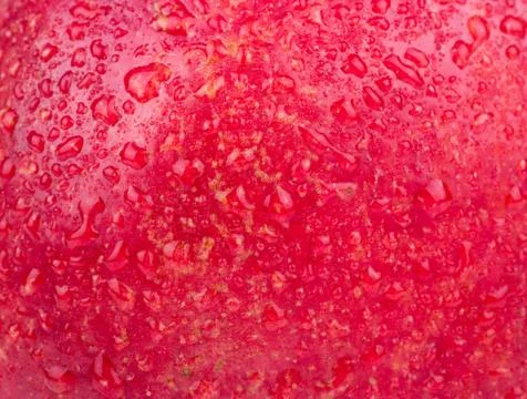 Background pomegranate Stock Photos