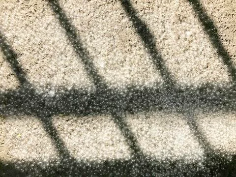 Background - poplar fluff. Stock Photos