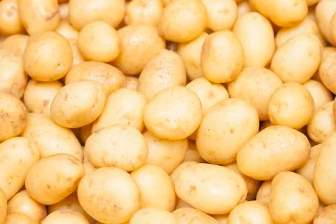 Background potatoes Stock Photos
