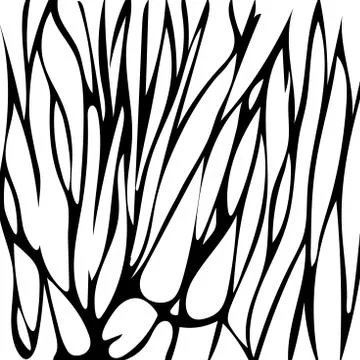 Background for printing animals on a white background with black stripes. Zeb Stock Illustration