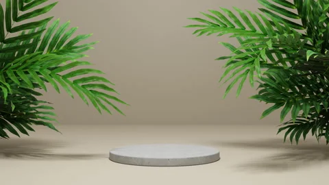 Background Product Display Podium Scene. Stock Footage 220263583