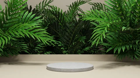 Background Product Display Podium Scene Stock Footage 220332883