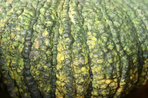 Background is pumpkin side view Stock Photos