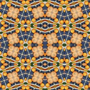 Background from pumpkins and plums. A pattern from vegetables, effect of a ka Stock-Fotos