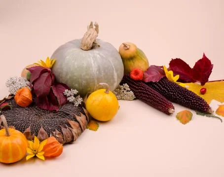 Background with Pumpkins, Yellow and Red Autumn Leaves Against Background. Fo Stock Photos