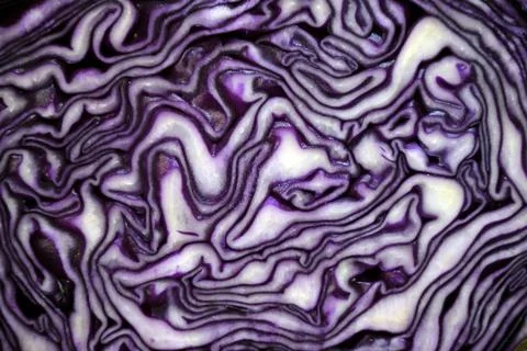 Background of purple cabbage in a section close-up for the whole frame Foto stock