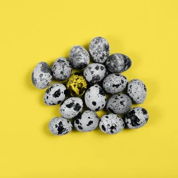 The background with the quail eggs in the trendy yellow and gray colors. Stock Photos