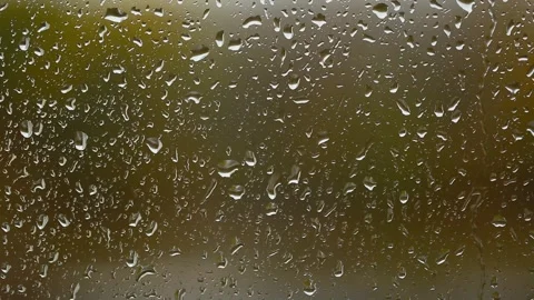 Background of raindrops on glass against the backdrop of a yellow forest in Stock Footage 256875670
