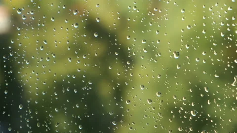 Background with raindrops on transparent window through which can see nature. Video stock 146440233