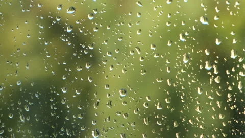 Background with raindrops on transparent window through which can see nature. Stock Footage 152964167