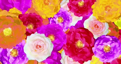 Background of randomly rotating colorful rose flowers Stock Footage 278974041