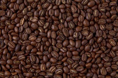 A background of randomly scattered roasted coffee beans. Presentation layout. Stock Photos