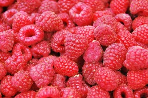Background of raspberries Stock Photos