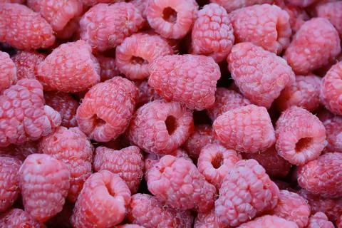 Background raspberry Stock Photos