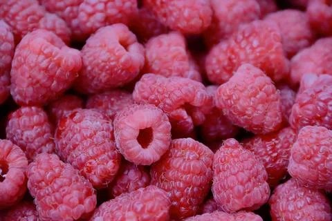 Background raspberry Stock Photos