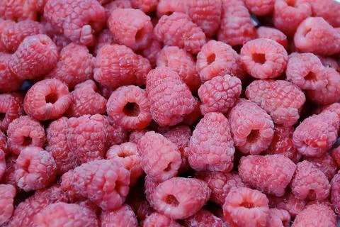 Background raspberry Stock Photos