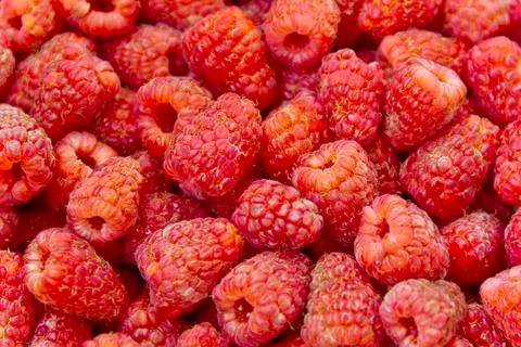 Background raspberry Foto stock