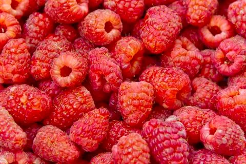 Background raspberry Stock Photos