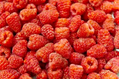 Background raspberry Stock-Fotos