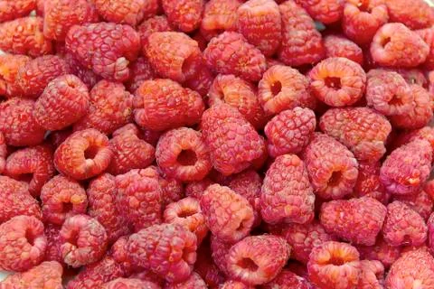 Background raspberry Stock Photos