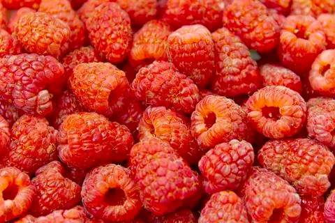 Background raspberry Foto stock