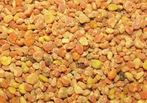 Background with raw amorpha pollen Photos