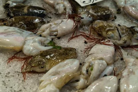 Background with raw fish, top view Stock Photos