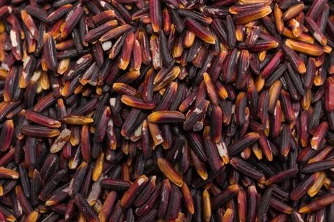 Background of raw long-grained black rice close-up Stock Photos