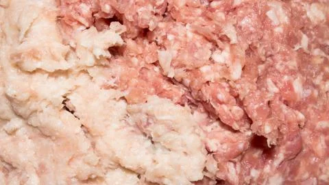 Background of raw minced meat.Texture of minced meat. Stock Photos