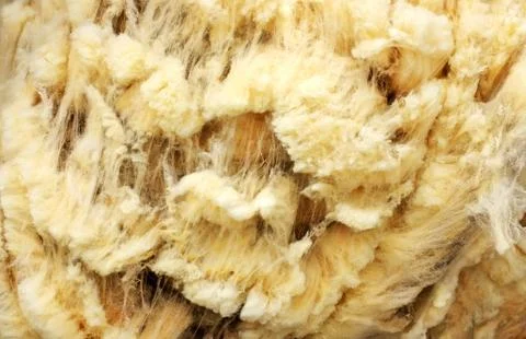 Background of raw wool of sheep Stock Photos