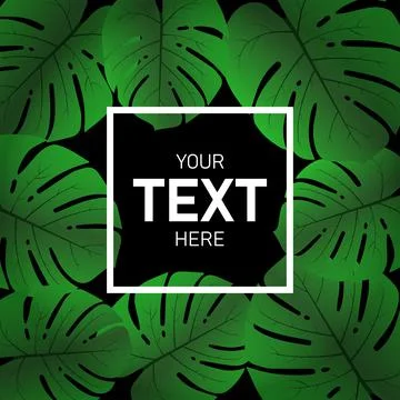 Background of realistic leaf monstera on black. Your text here. Vector illust Illustrazione stock