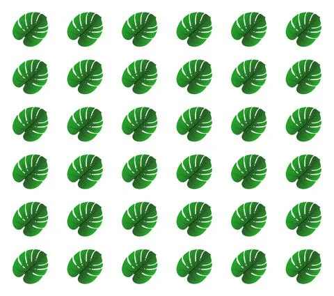 Background of realistic leaf monstera on white. Vector illustration. Stock Illustration